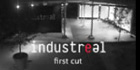 Industreal FIRST CUT video Ilvio Gallo