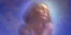 Maria video Ilvio Gallo